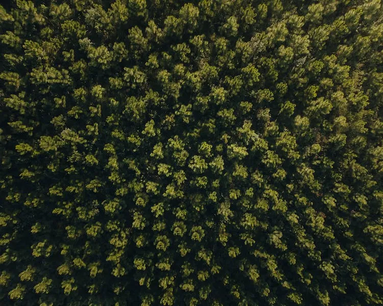 EverBuilt - Sustainable and quality products